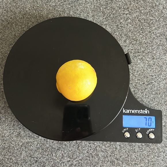 Kamenstein Kitchen Kamenstein Digital Food Scale Poshmark
